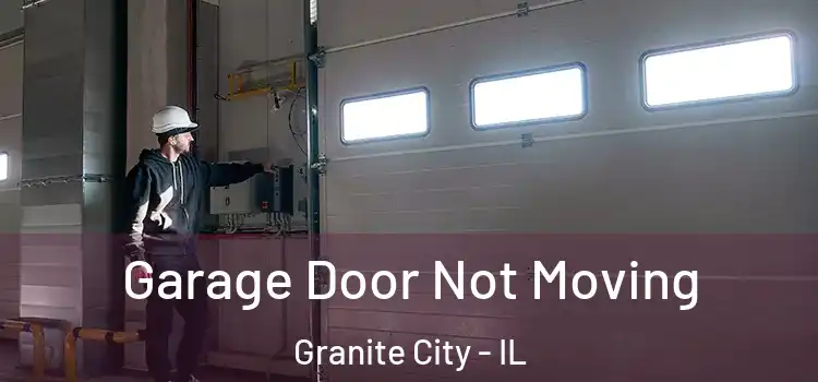  Garage Door Not Moving Granite City - IL