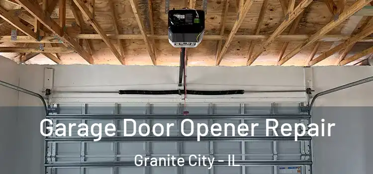  Garage Door Opener Repair Granite City - IL