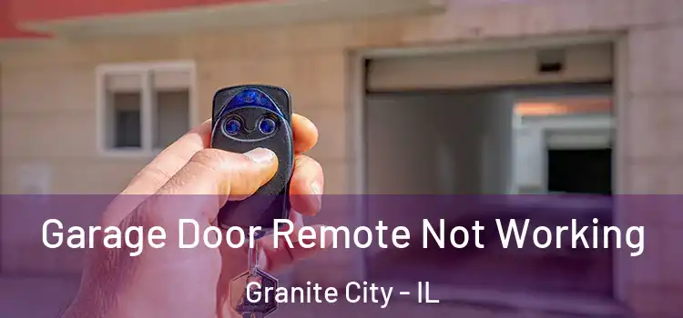 Garage Door Remote Not Working Granite City - IL