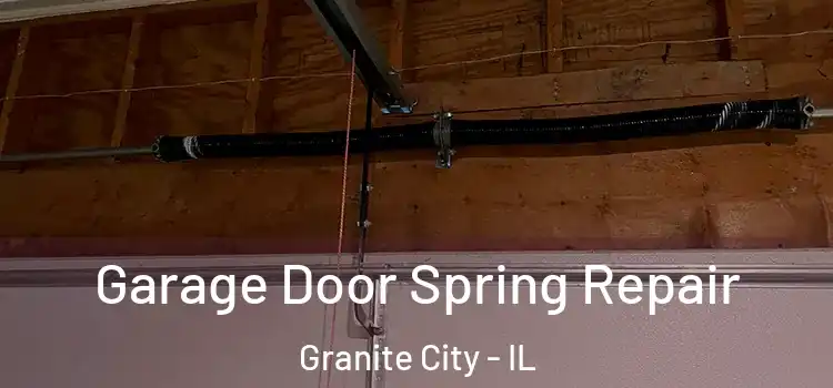  Garage Door Spring Repair Granite City - IL