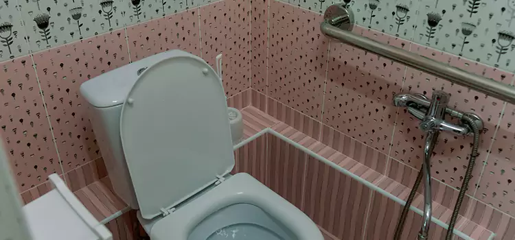 Meeting Diverse Needs With Accessible Restroom Solutions in Granite City, IL