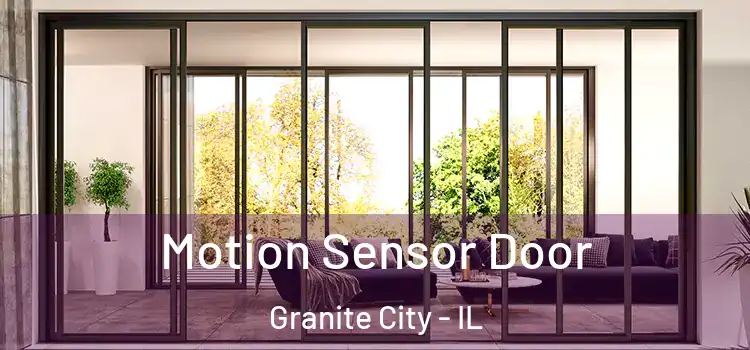  Motion Sensor Door Granite City - IL